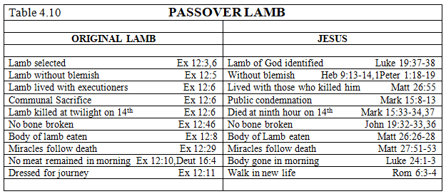 Passover Lamb 