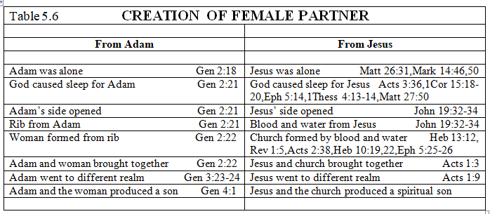 Creation of Female Partner